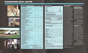 1983 Ford Thunderbird-16-17.jpg